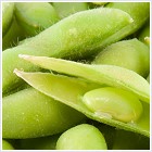 Soy Beans for Natural Soy Facial Cream